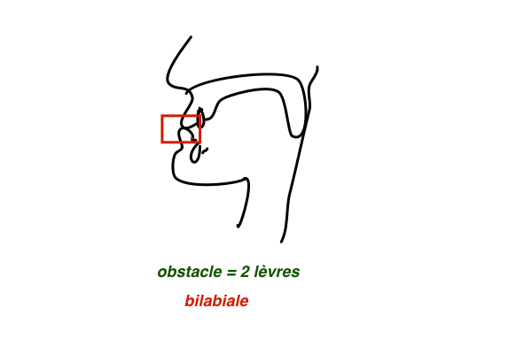 bilabiale
